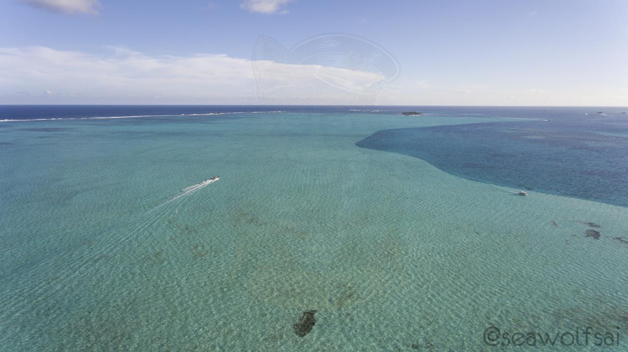 San Andrés Sea Wolf Apartments מראה חיצוני תמונה